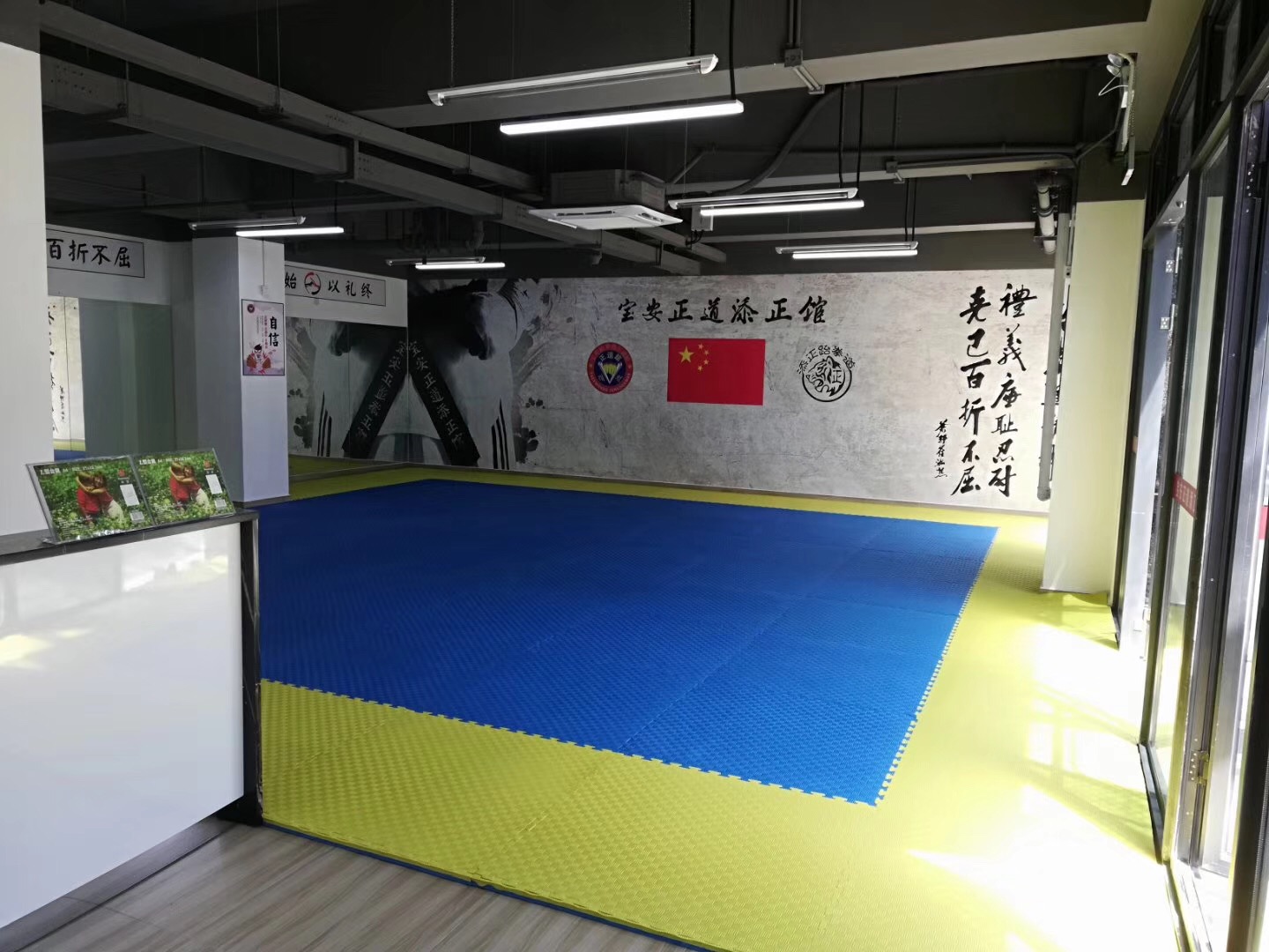 深圳市跆拳道品势比赛带队获得10金15银10铜成绩2018年深圳市跆拳道